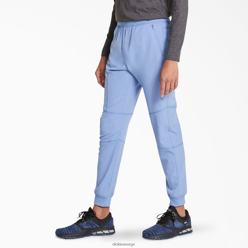 Dickies menn dynamix joggebukse med naturlig rise 4NB6FR1394 klær tak blå (cbl)