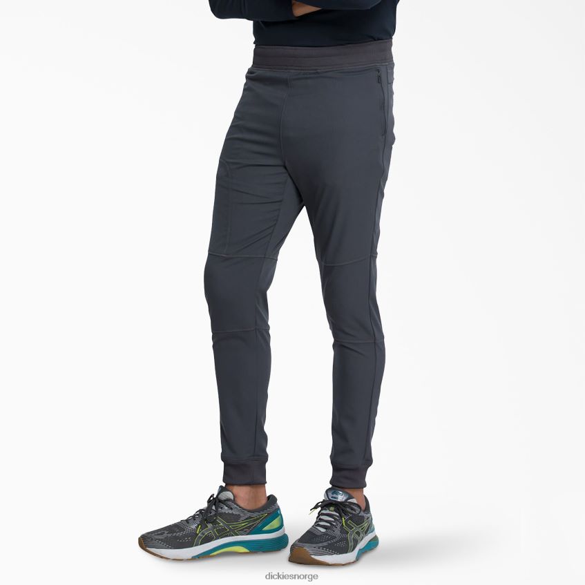 Dickies menn dynamix joggebukse med naturlig rise 4NB6FR1397 klær tinngrå (pew)