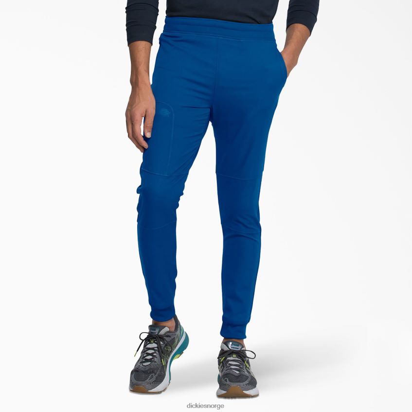 Dickies menn dynamix joggebukse med naturlig rise 4NB6FR1398 klær kongeblå (rb)