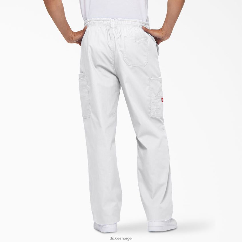 Dickies menn eds signatur cargo skrubbebukser 4NB6FR1223 klær hvit (dwh)
