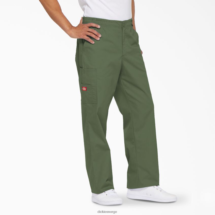 Dickies menn eds signatur cargo skrubbebukser 4NB6FR1229 klær olivengrønn (oli)