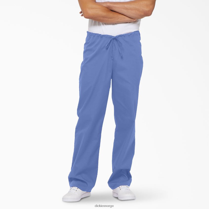 Dickies menn unisex eds signatur skrubbebukser 4NB6FR1306 klær tak blå (cbl)