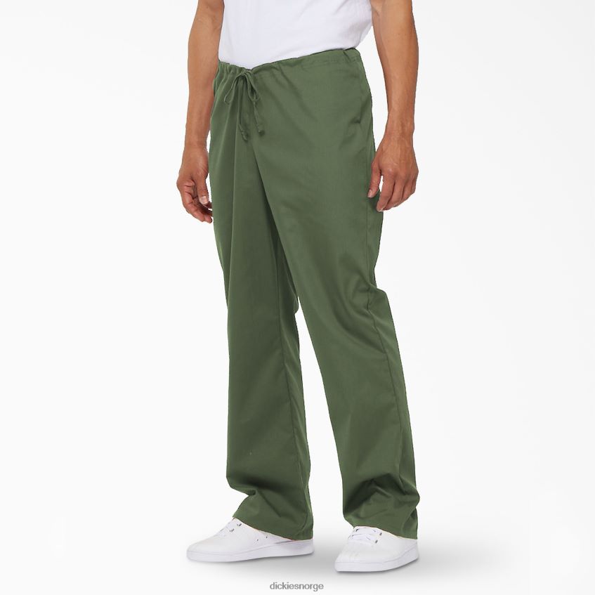 Dickies menn unisex eds signatur skrubbebukser 4NB6FR1318 klær olivengrønn (oli)