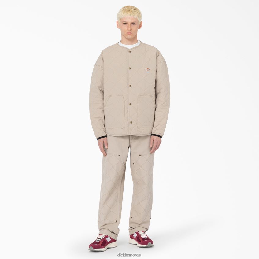 Dickies menn thorsby doble bruksbukser foran 4NB6FR295 klær sandstein (ss)