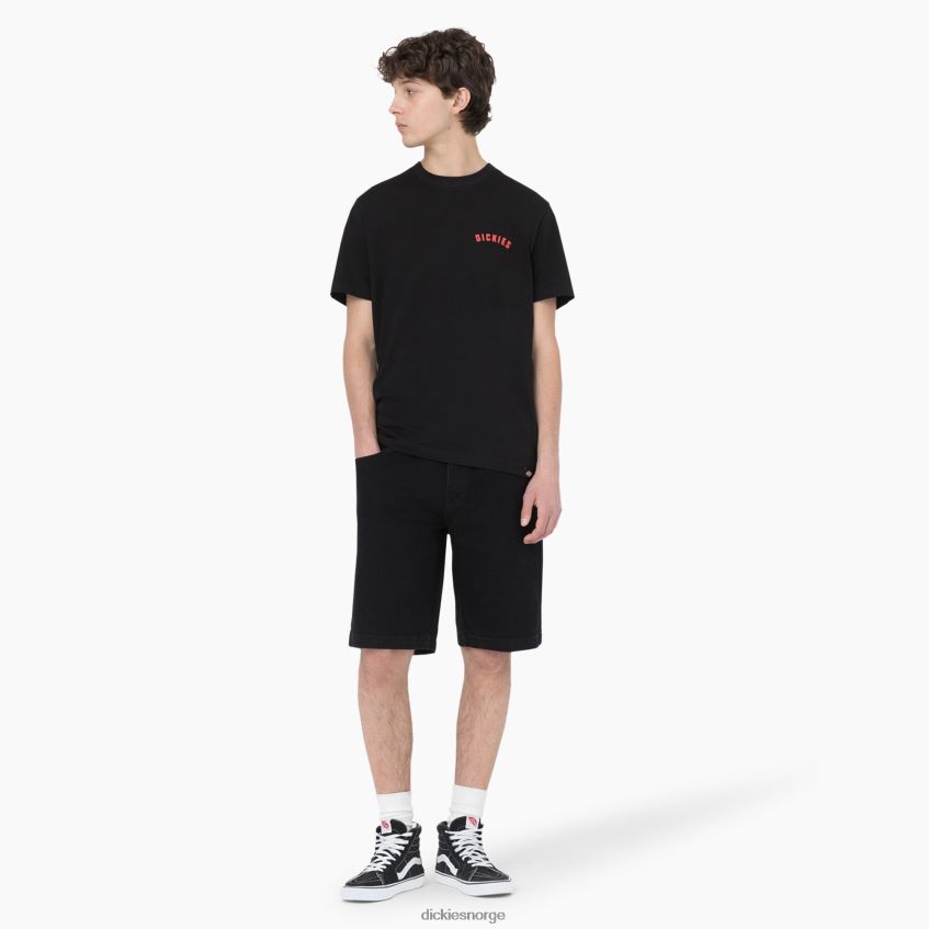 Dickies menn skateboarding wingville shorts 11