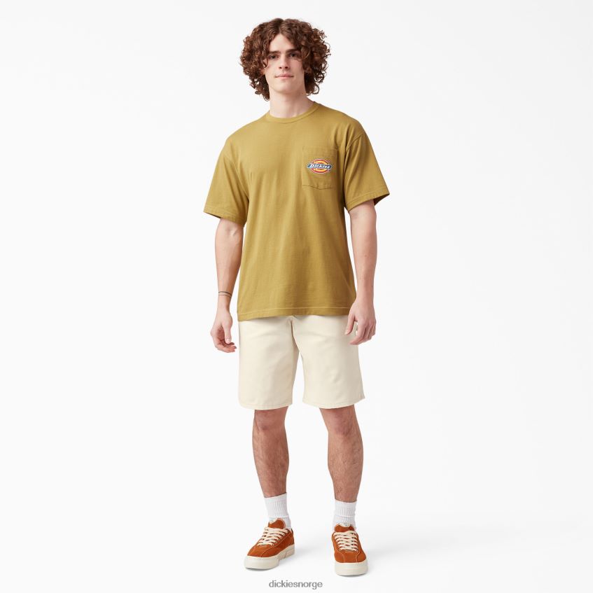 Dickies menn bruksmalershorts 11