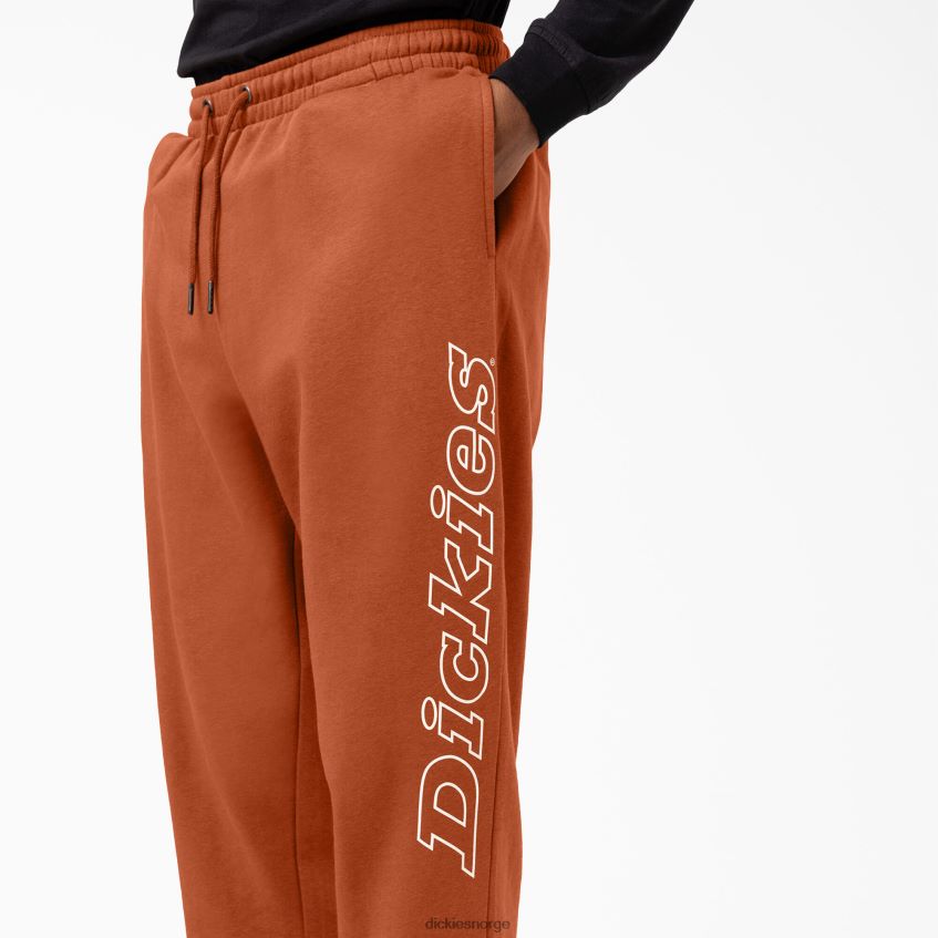 Dickies menn uniontown joggebukser 4NB6FR312 klær regelmessig