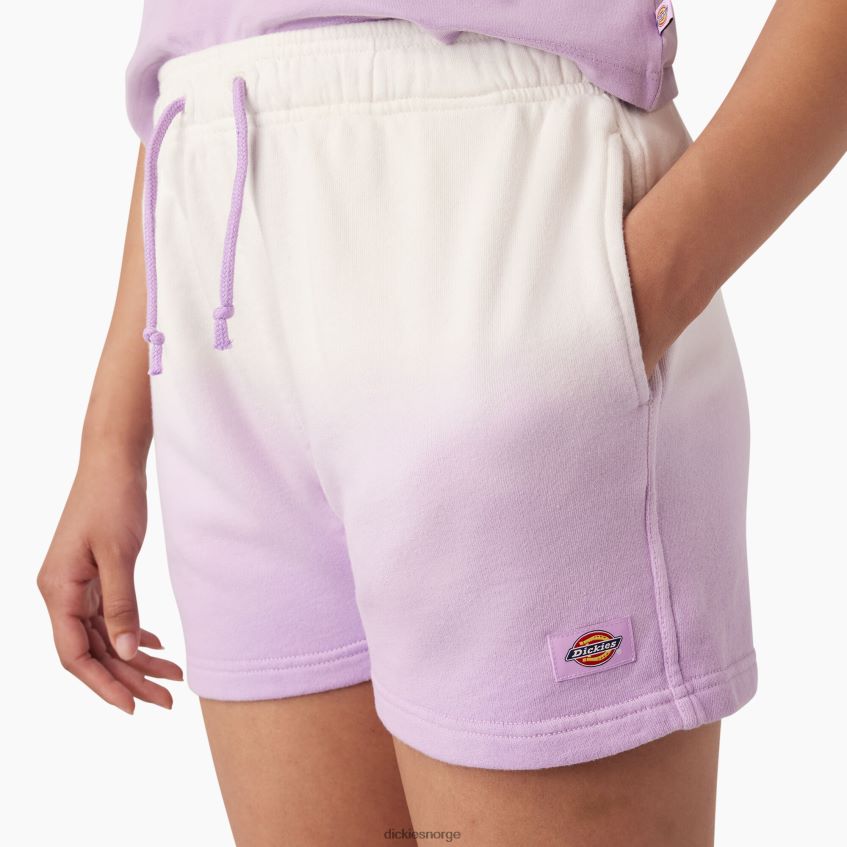 Dickies kvinner ombre strikke shorts 3