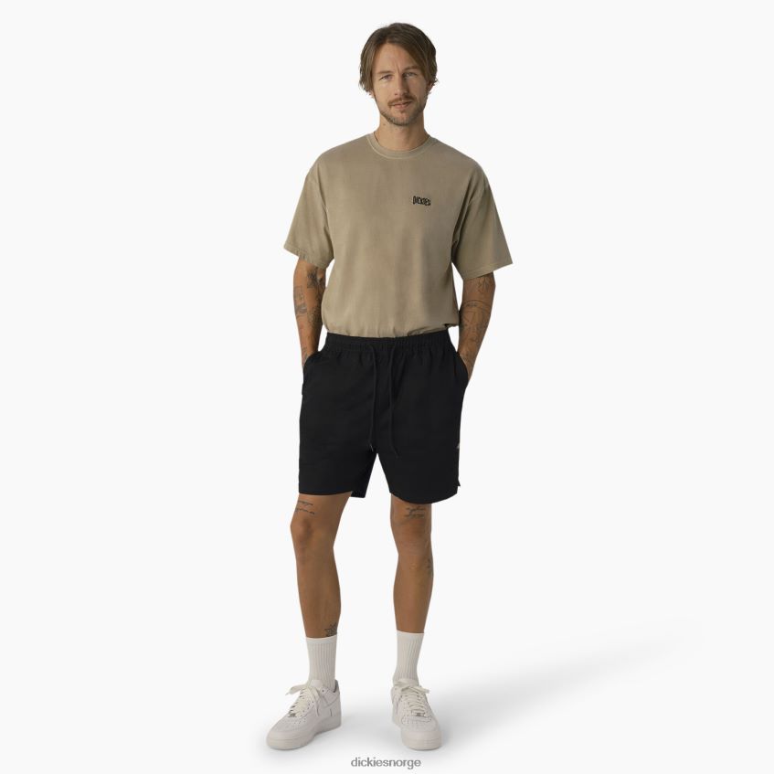 Dickies menn Pelican rapids shorts 6