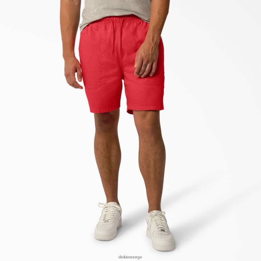 Dickies menn Pelican rapids shorts 6" 4NB6FR451 klær bittersøt (bw2)