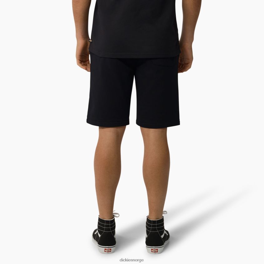 Dickies menn mapleton shorts 9
