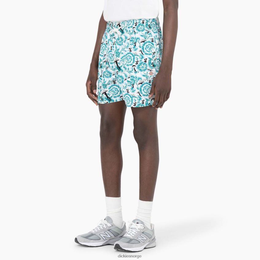 Dickies menn roseburg shorts 7