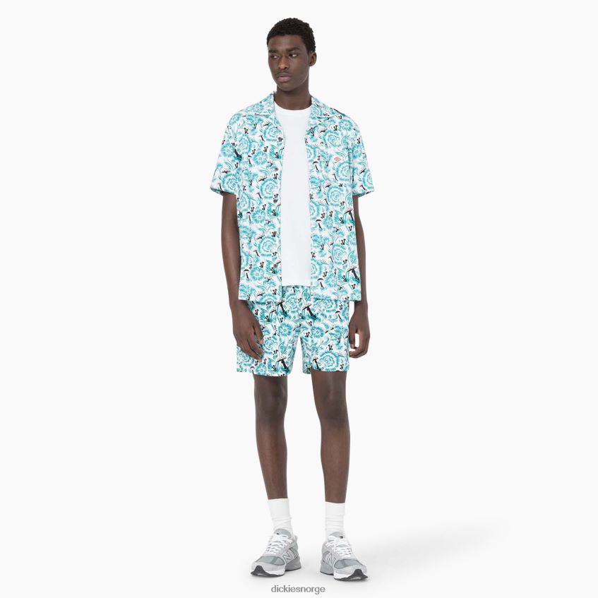 Dickies menn roseburg shorts 7