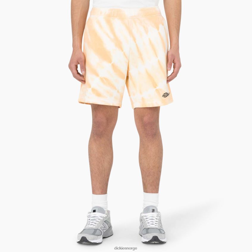 Dickies menn westfir shorts 8" 4NB6FR480 klær impala (ma2)