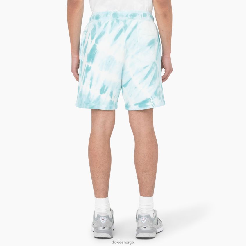 Dickies menn westfir shorts 8