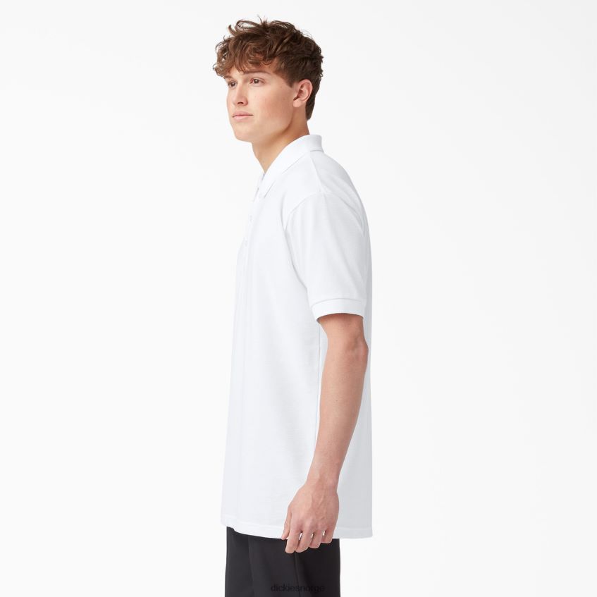 Dickies menn voksen størrelse piké kortermet polo 4NB6FR667 klær hvit (wh)