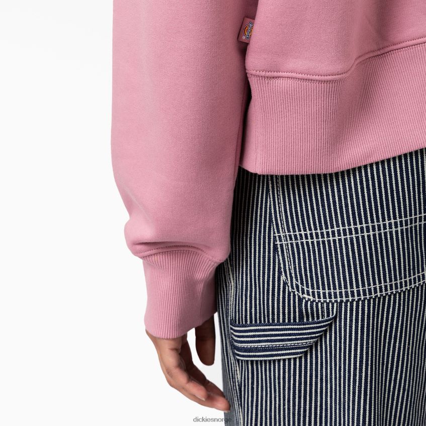 Dickies kvinner summerdale genser 4NB6FR2292 klær revebjelle (f2g)