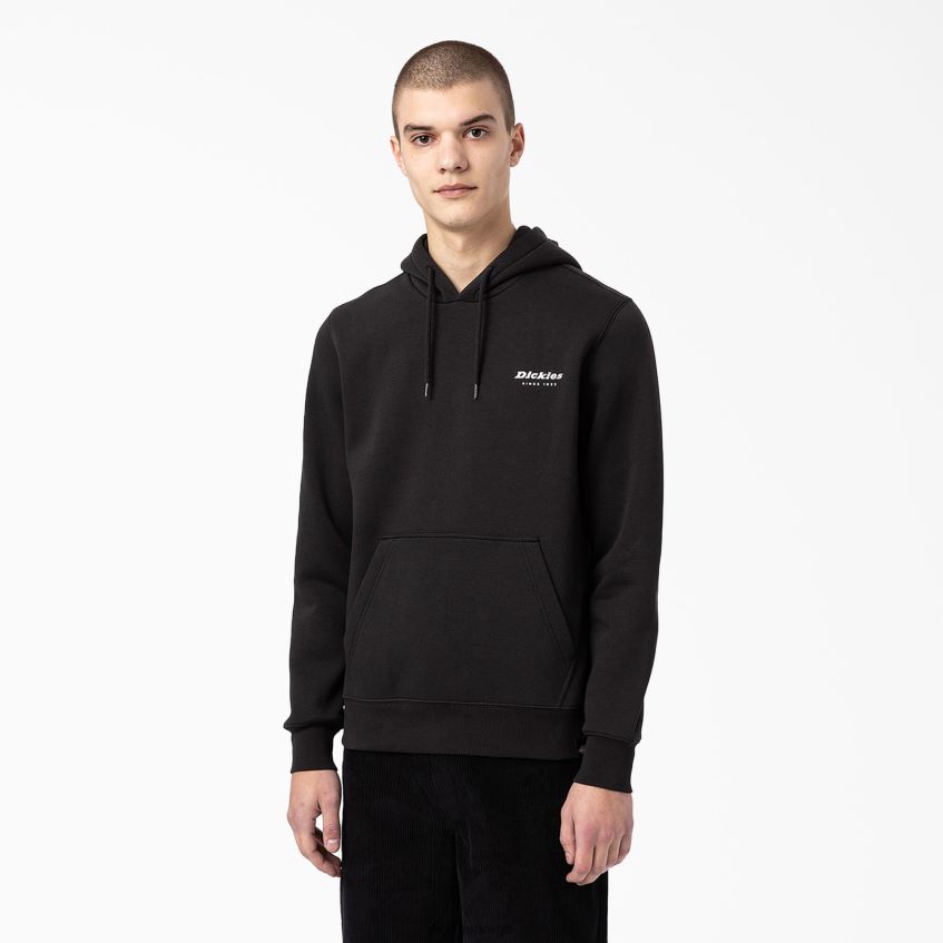 Dickies menn camden box grafisk hettegenser 4NB6FR1167 klær regelmessig