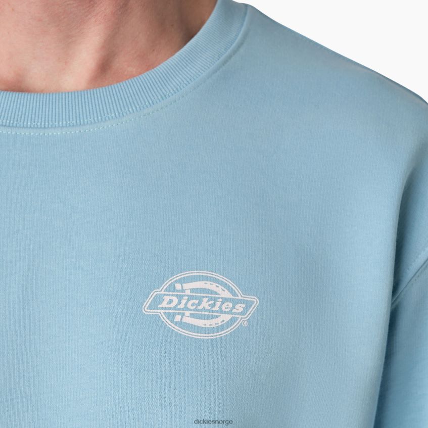 Dickies menn holtville genser 4NB6FR1098 klær regelmessig