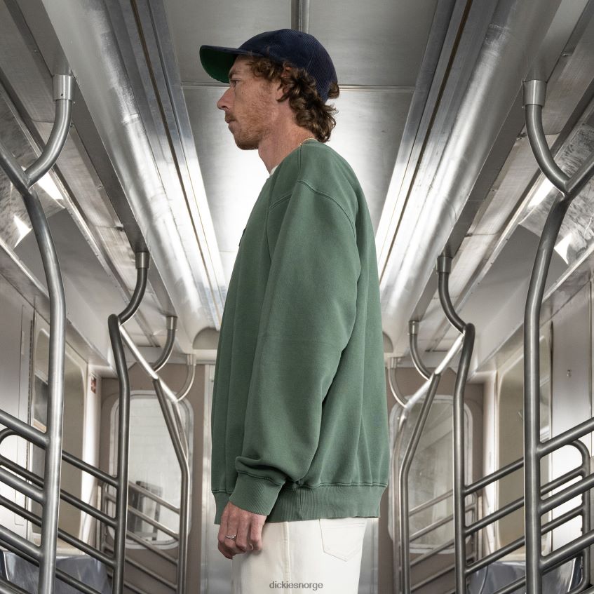 Dickies menn jake hayes brodert genser 4NB6FR997 klær regelmessig