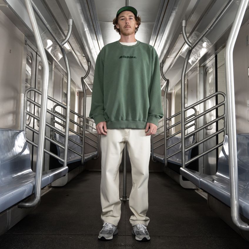 Dickies menn jake hayes brodert genser 4NB6FR997 klær regelmessig