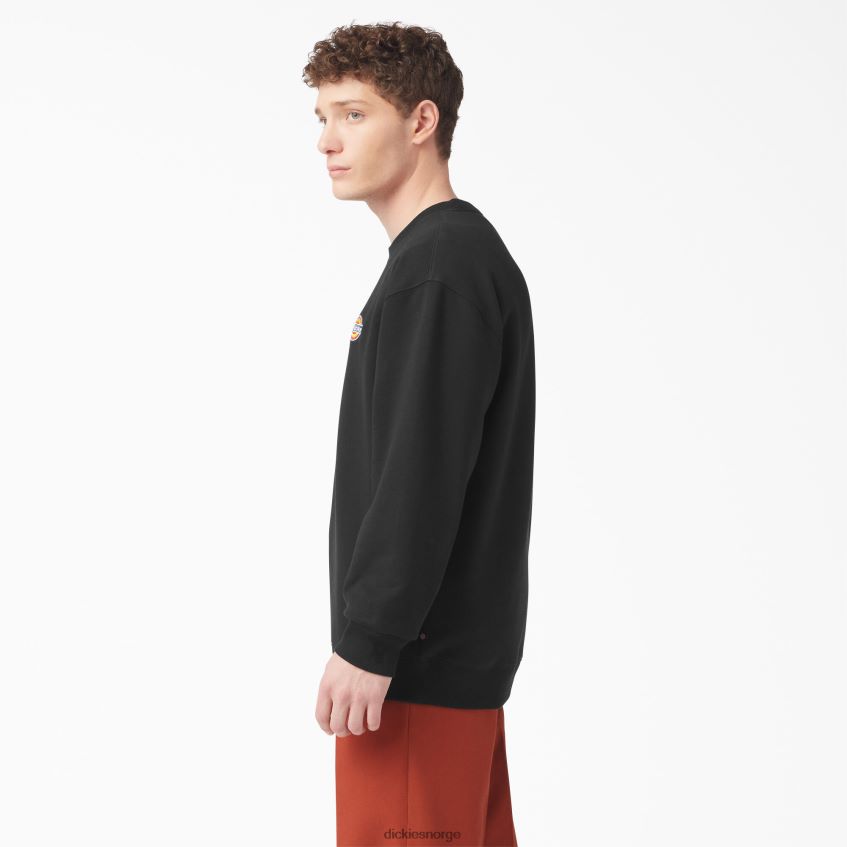 Dickies menn sweatshirt med brodert logo på brystet i fleece 4NB6FR1132 klær regelmessig