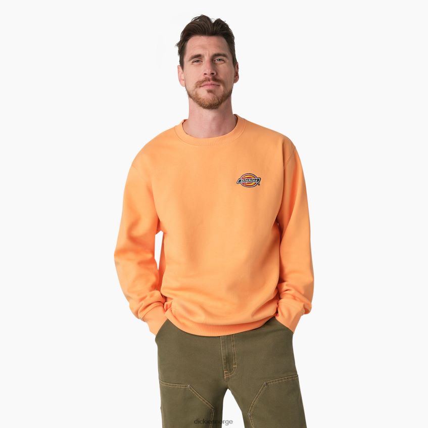 Dickies menn sweatshirt med brodert logo på brystet i fleece 4NB6FR1133 klær regelmessig