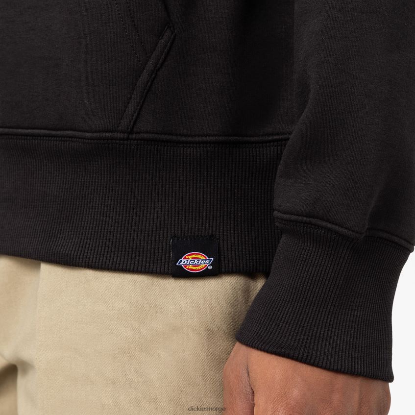Dickies menn union springs hettegenser med logo 4NB6FR1153 klær regelmessig