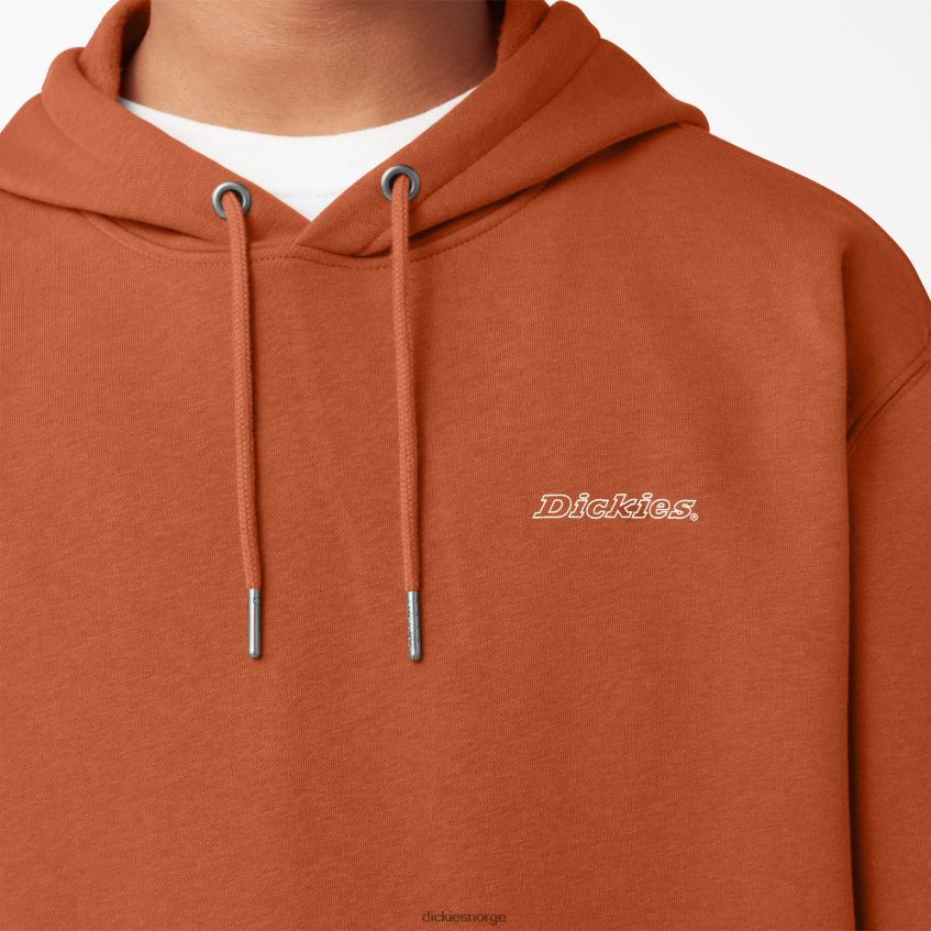 Dickies menn uniontown hettegenser 4NB6FR1091 klær regelmessig