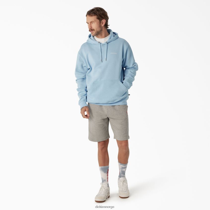 Dickies menn uniontown hettegenser 4NB6FR1094 klær regelmessig