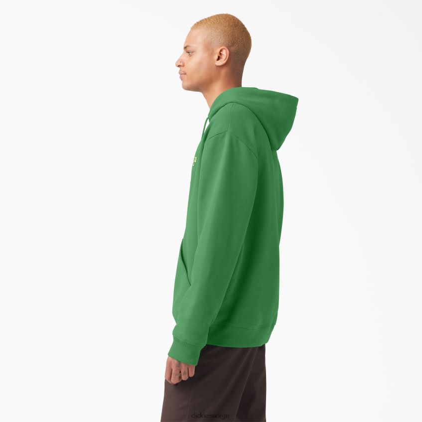 Dickies menn vincent alvarez brodert hettegenser 4NB6FR1083 klær regelmessig