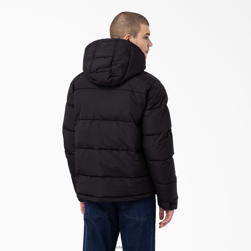 Dickies menn glacier view anorak pufferjakke 4NB6FR1177 klær regelmessig