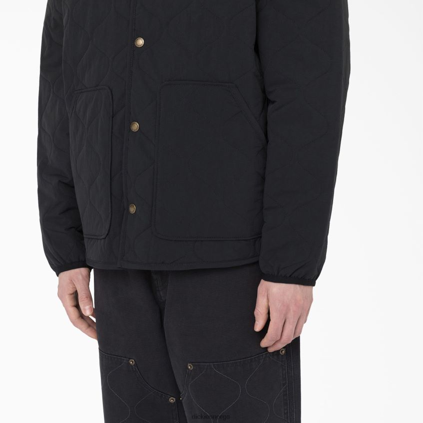 Dickies menn thorsby liner jakke 4NB6FR1111 klær svart (bkx)