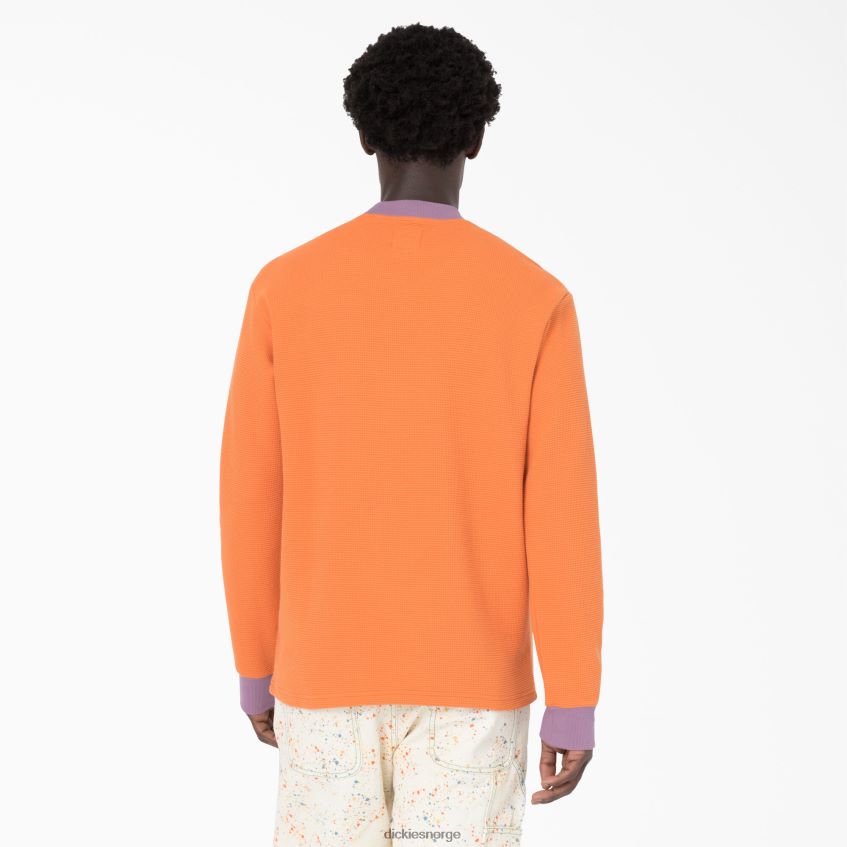 Dickies menn hjernedød brodert vaffelstrikket genser 4NB6FR731 klær brent oransje (til 1)
