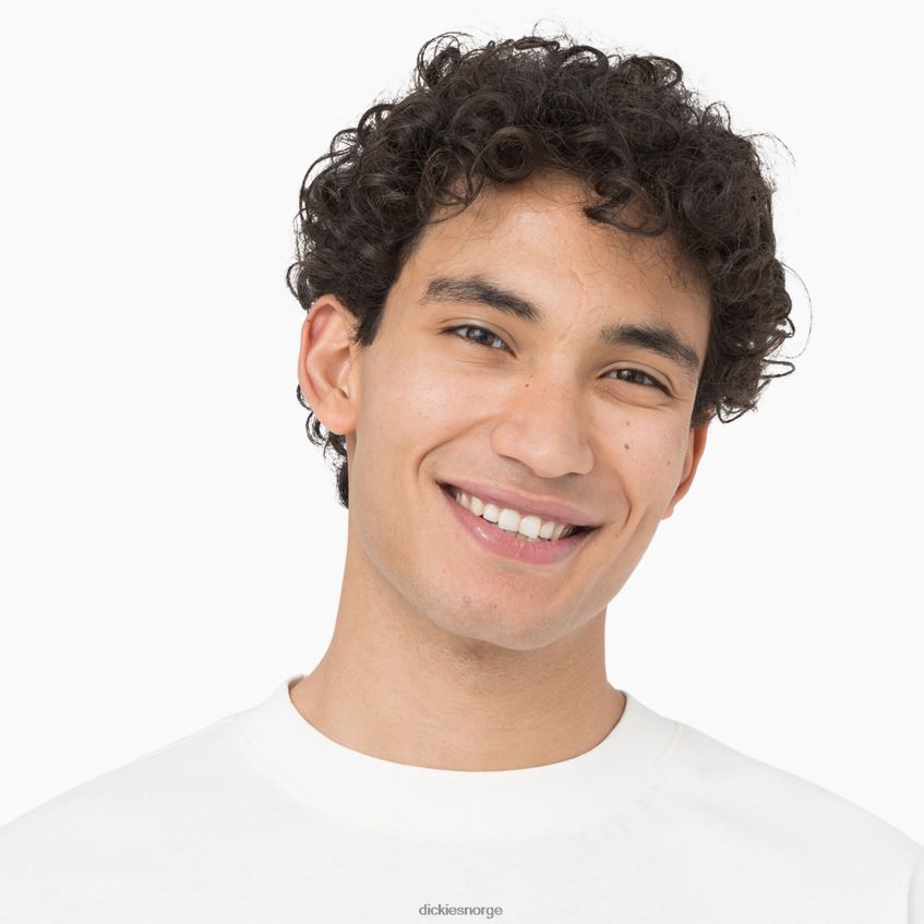 Dickies menn oatfield langermet t-skjorte 4NB6FR805 klær sky (cl9)