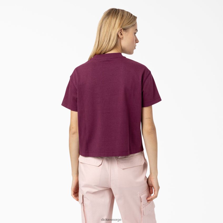 Dickies kvinner Loretto cropped t-skjorte 4NB6FR2178 klær druevin (gw9)
