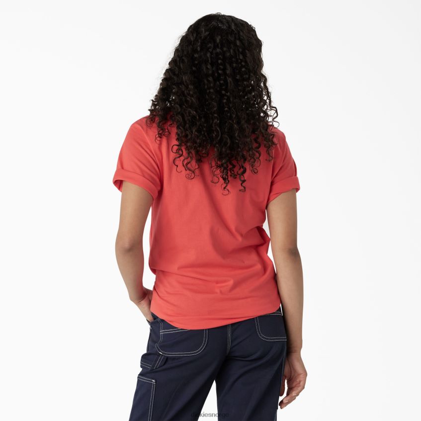 Dickies kvinner grafisk band t-skjorte 4NB6FR2210 klær bittersøt (bw2)