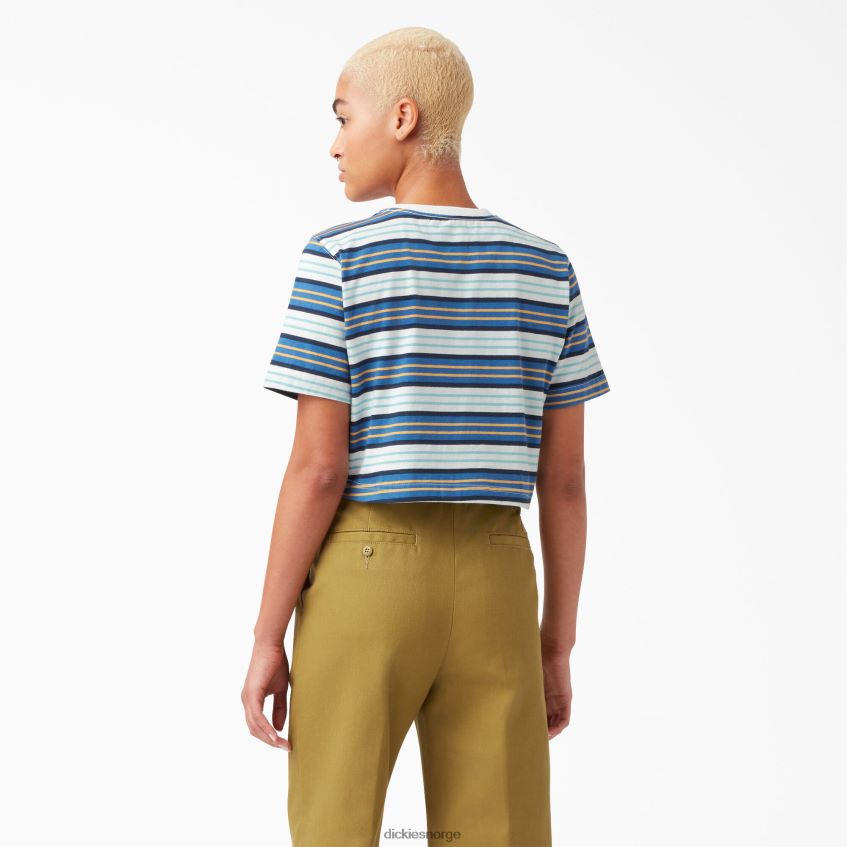 Dickies kvinner stripete beskåret t-skjorte 4NB6FR2012 klær koboltstripe (c2s)