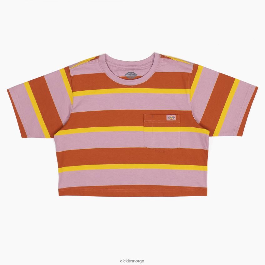 Dickies kvinner stripete beskåret t-skjorte 4NB6FR2017 klær ingefærrev kollegial stripe (xsr)