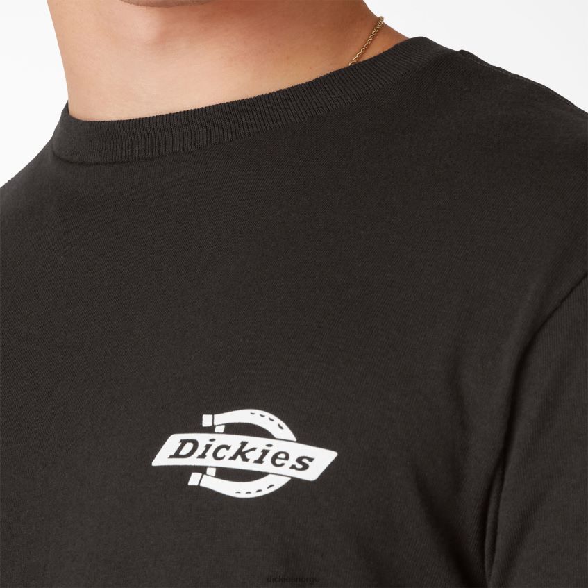 Dickies menn Heritage grafisk t-skjorte 4NB6FR903 klær svart (bk)