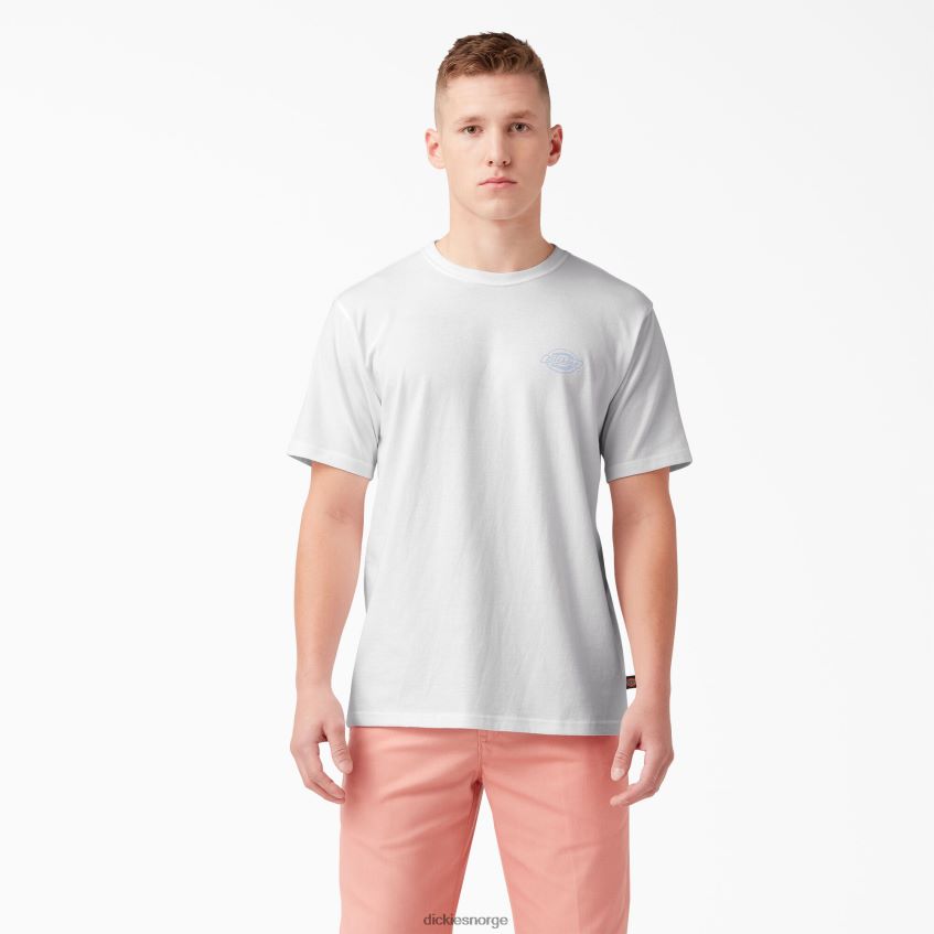 Dickies menn bak logo grafisk t-skjorte 4NB6FR752 klær hvit (wh)