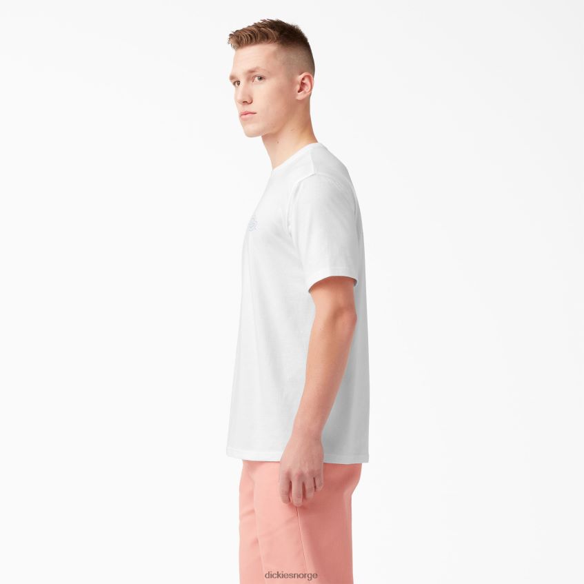 Dickies menn bak logo grafisk t-skjorte 4NB6FR752 klær hvit (wh)