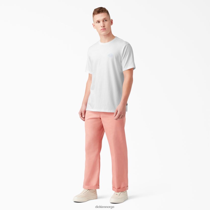 Dickies menn bak logo grafisk t-skjorte 4NB6FR752 klær hvit (wh)