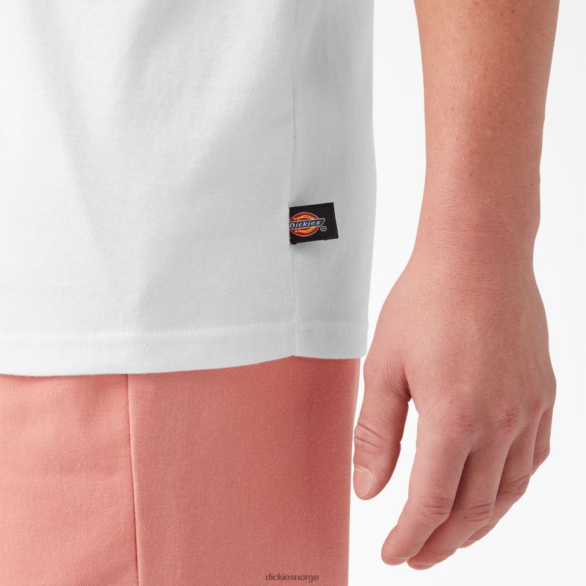 Dickies menn bak logo grafisk t-skjorte 4NB6FR752 klær hvit (wh)
