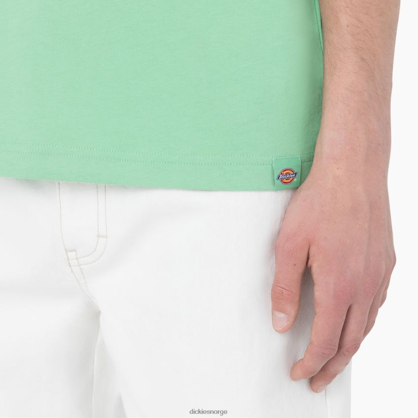 Dickies menn baker city kortermet t-skjorte 4NB6FR882 klær eple mynte (ar2)