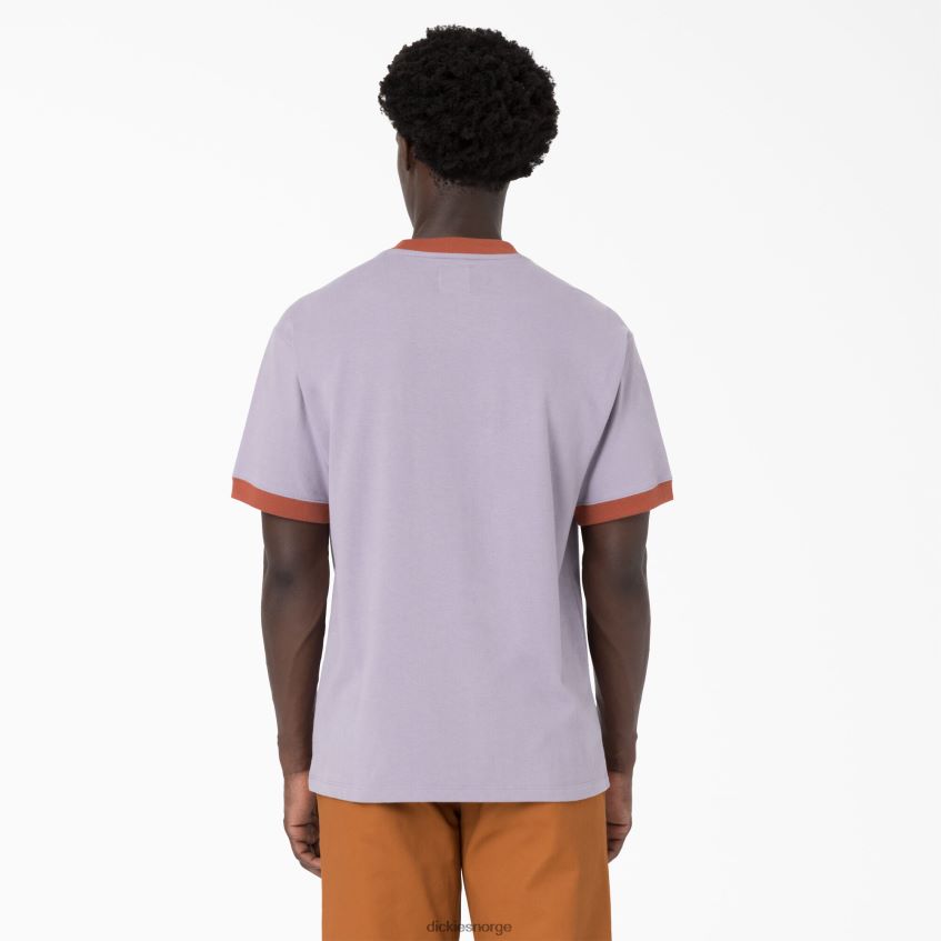 Dickies menn hjernedød brodert t-skjorte 4NB6FR759 klær lilla (pr)