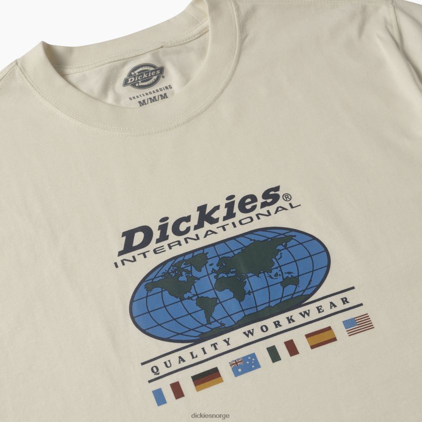 Dickies menn jake hayes grafisk t-skjorte 4NB6FR649 klær naturlig beige (nt)