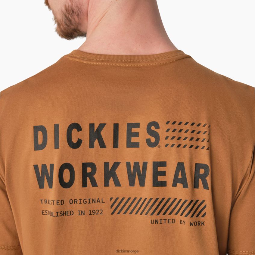 Dickies menn kjølende grafisk t-skjorte 4NB6FR900 klær brun and (bd)