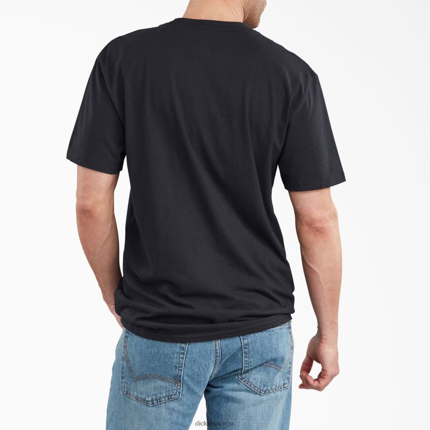 Dickies menn kortermet grafisk t-skjorte med avslappet passform 4NB6FR840 klær svart (bk)