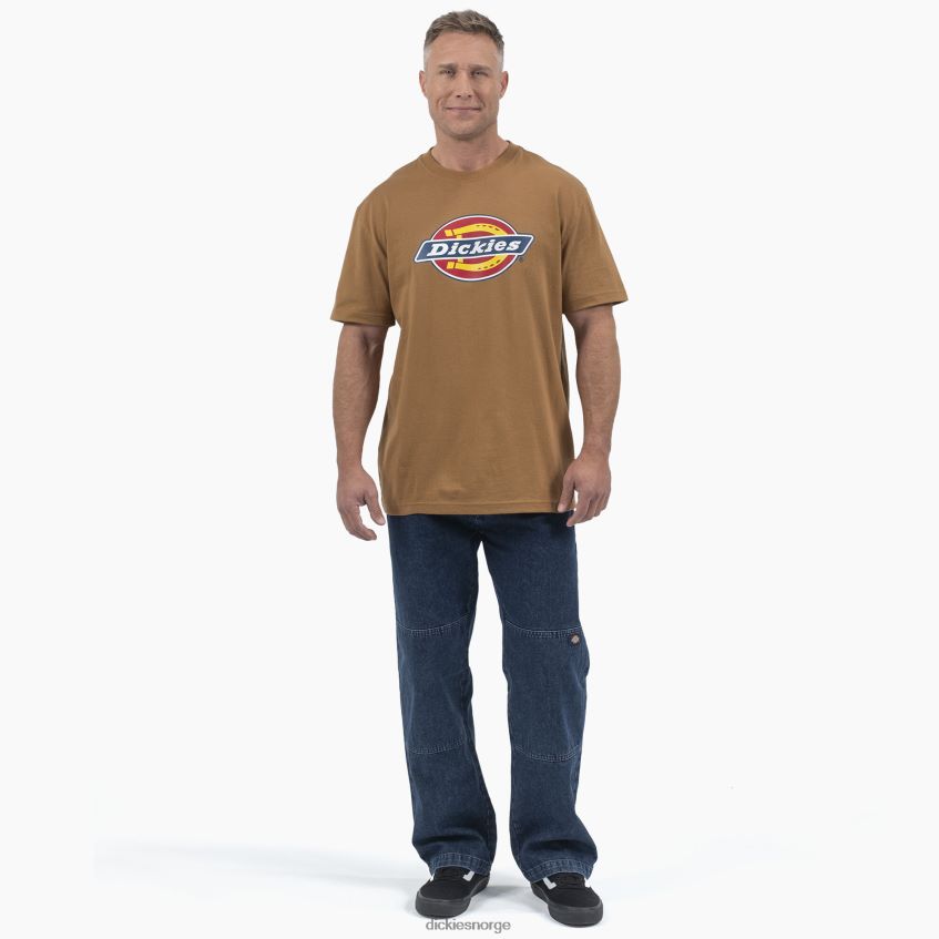 Dickies menn kortermet trefarget grafisk t-skjorte med logo 4NB6FR707 klær brun and (bd)